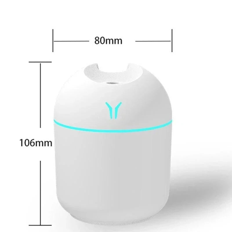 Mini Home Humidifier